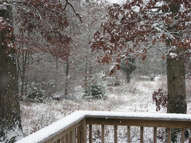 2008-12-07_First_Snow 041.jpg